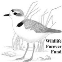 Wildlife Forever Fund
